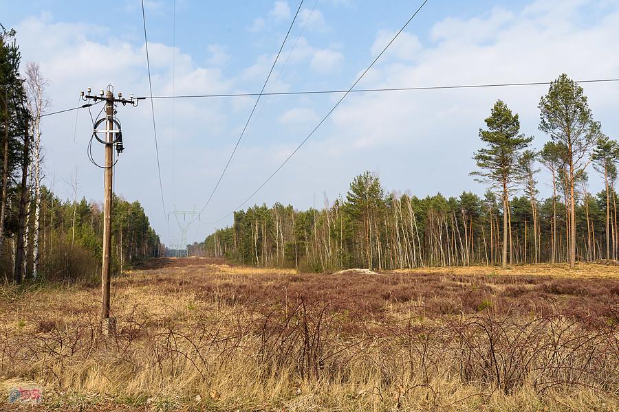 Pod wysokim napięciem - widok od zbiornika wodnego Poraj w kierunku wschodnim