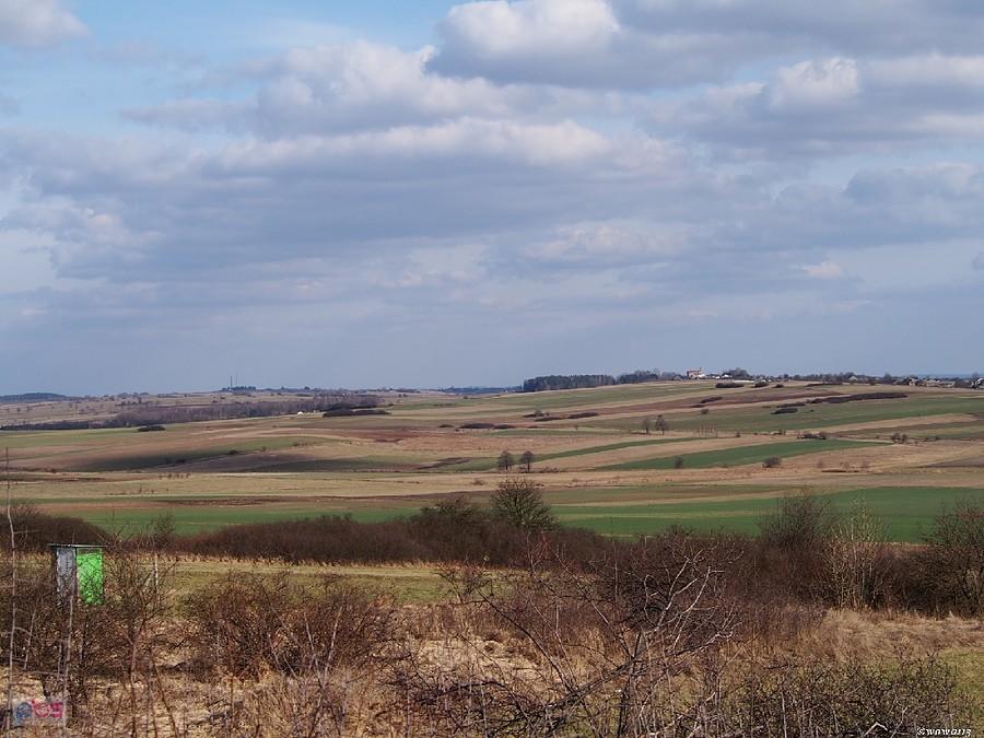 Widoczki z Coglowej Góry
