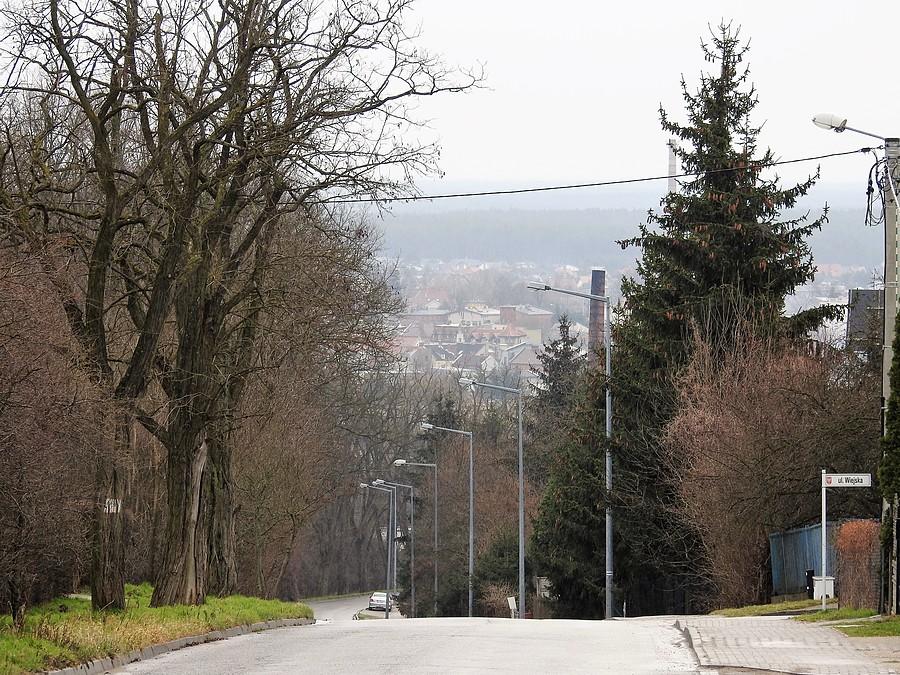 Widok na Mosinę z ulicy Pożegowskiej