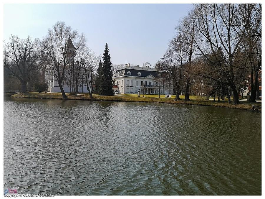 Pałac w Radziejowicach