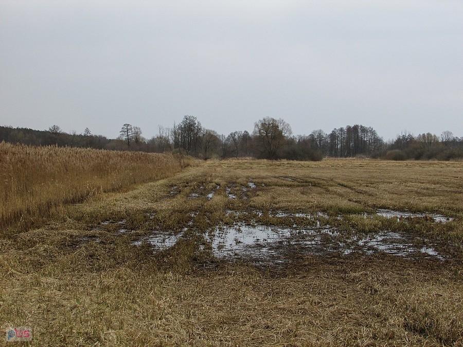 Łąki Soleckie