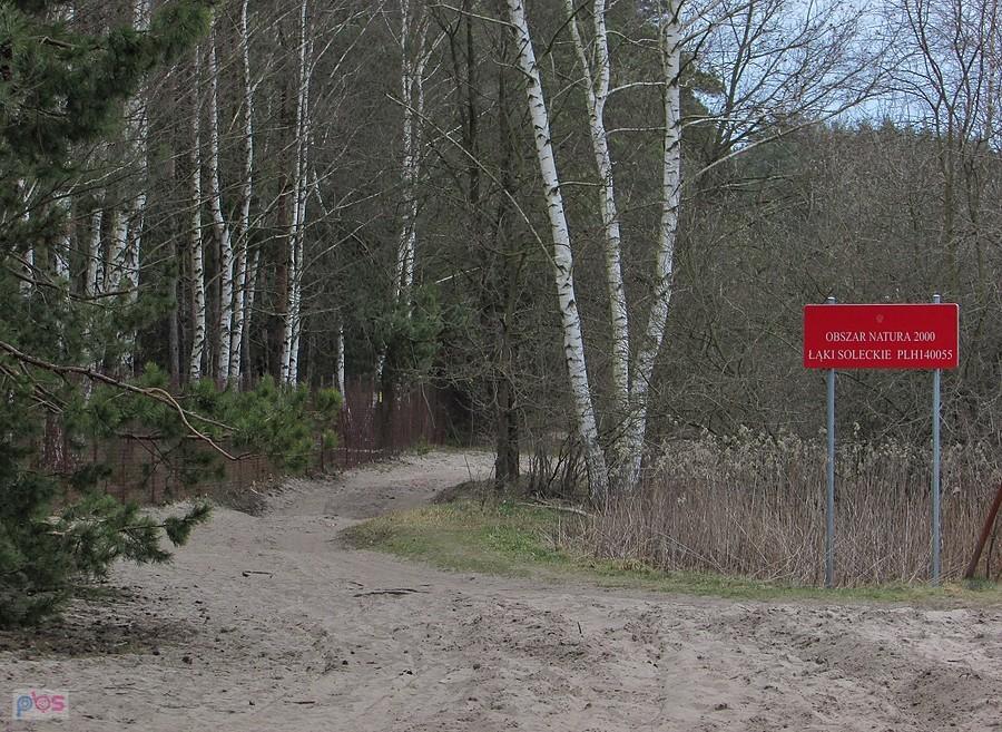 Droga na granicy Łąk Soleckich i Lasów Chojnowskich