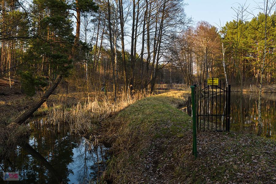 Stawy w Baranowiźnie - praktycznie wszystkie leżą na prywatnym terenie, ciek na pierwszym planie to rzeczka Ordonka.