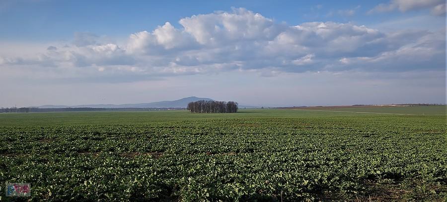 Potężny Cumulus nad Ślężą