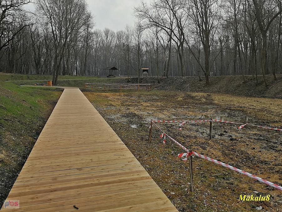 Sosnowiec - Park Tysiąclecia