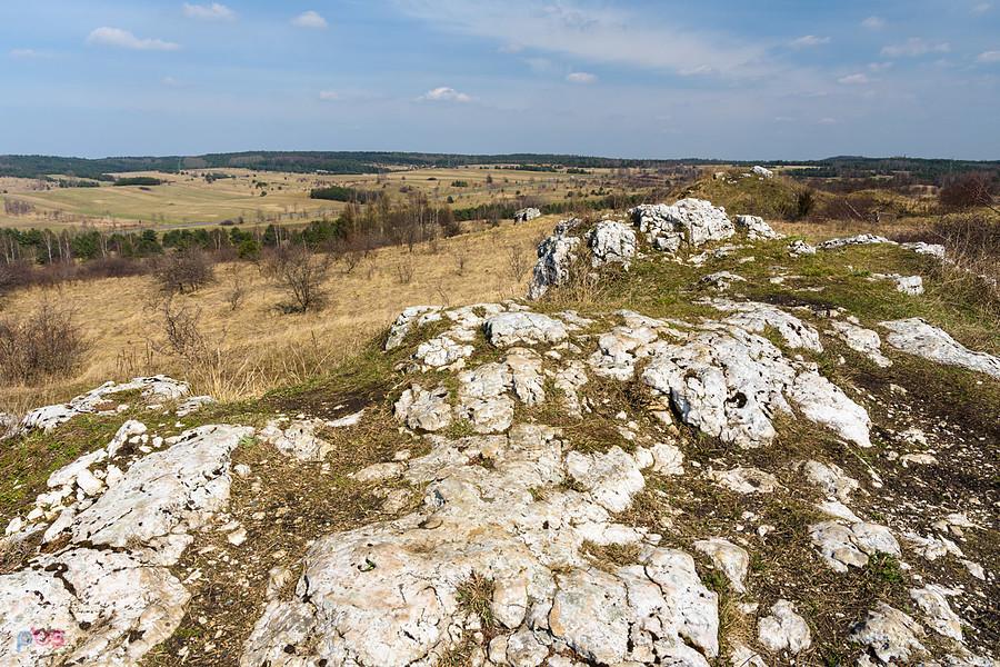 Żarki - wzgórze Parchowotka - widok na północ