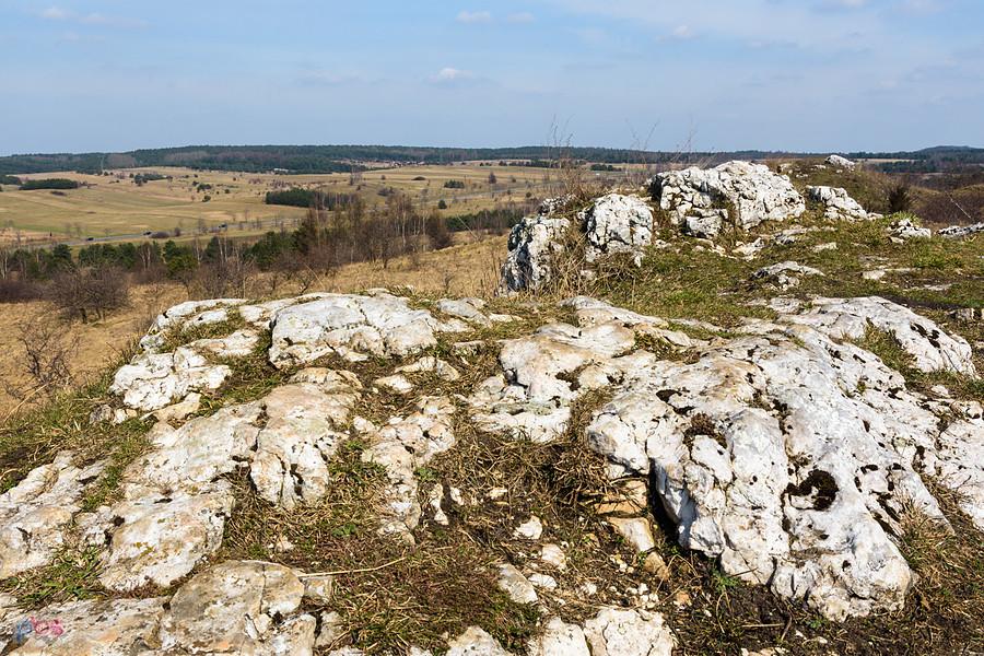 Żarki - wzgórze Parchowotka