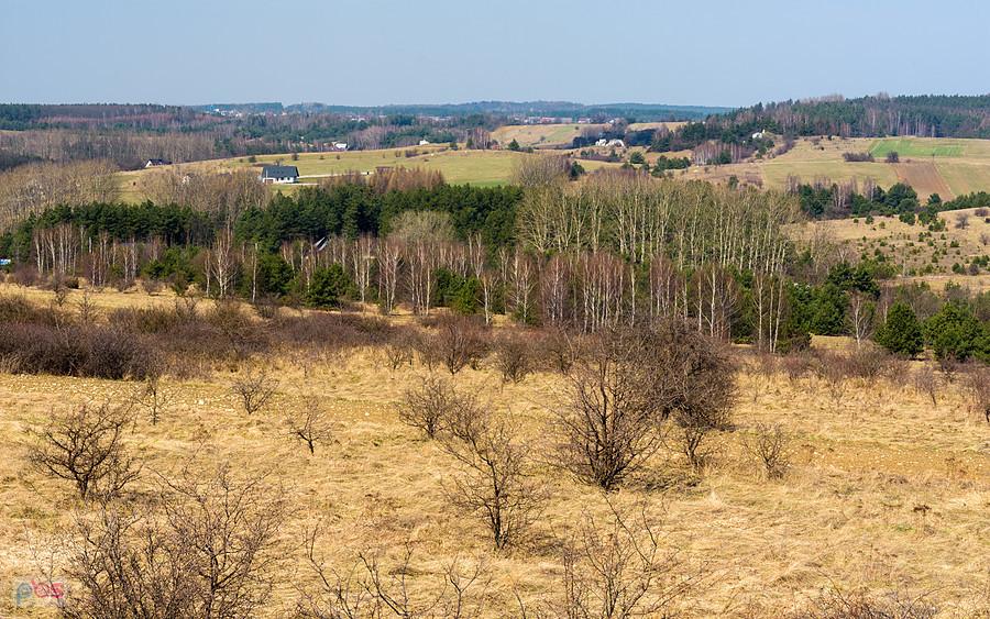 Żarki - wzgórze Parchowotka - widok w kierunku Przybynowa