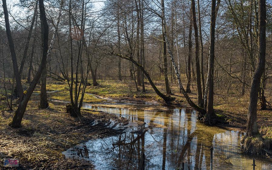 Kuźnia - Kostkowice i rzeczka Białka