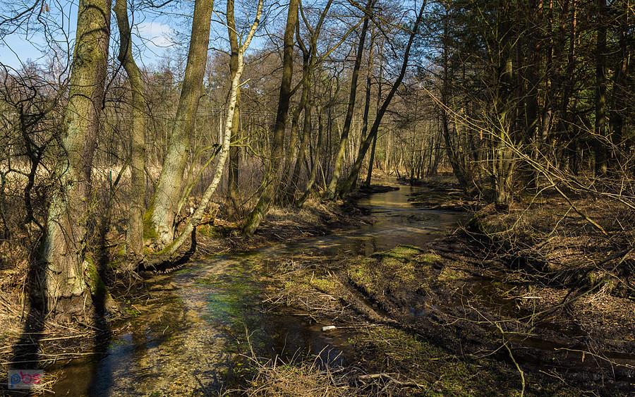 Kuźnia - Kostkowice i rzeczka Białka