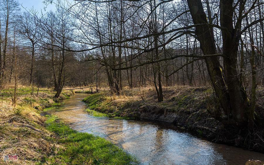 Kuźnia - Kostkowice - rzeka Białka