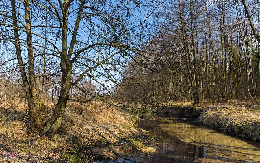 Kuźnia - Kostkowice - rzeka Białka