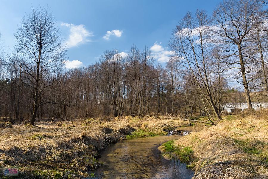 Kuźnia - Kostkowice - rzeka Białka