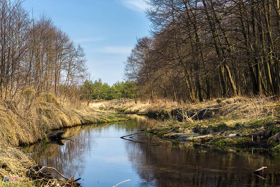 Kuźnia - Kostkowice - rzeka Białka