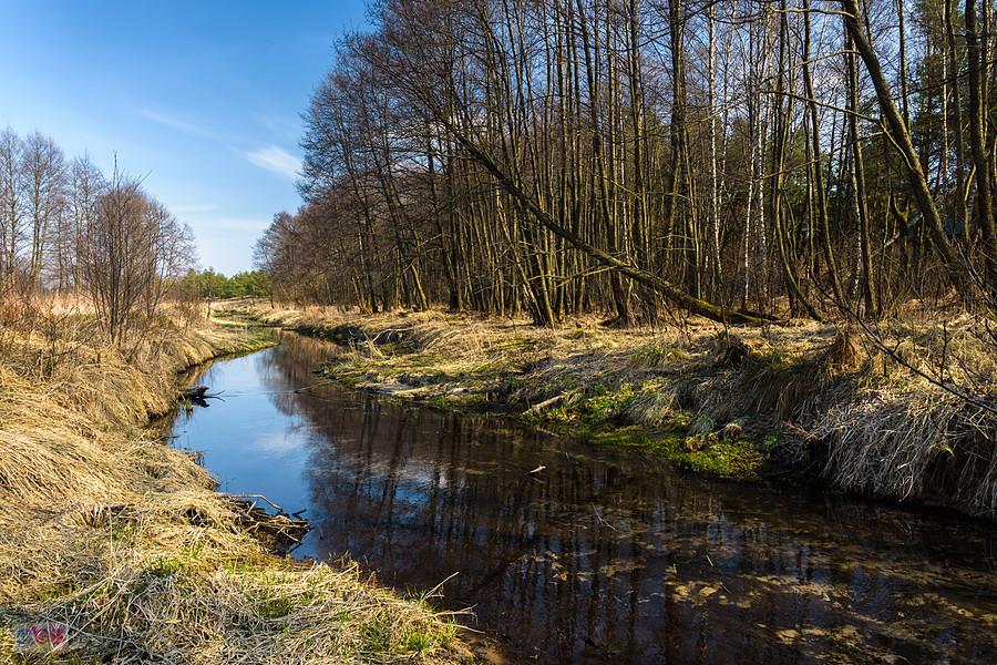 Kuźnia - Kostkowice - rzeka Białka