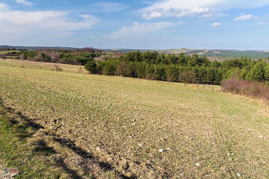 Widoki w pobliżu Kolonii Hucisko - ujęcie w kierunku Niegowej