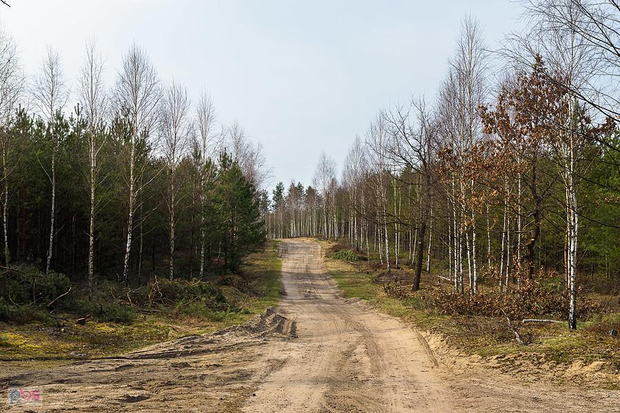 Przedłużenie ul Zielonej - Poraj i widok w kierunku jego centrum