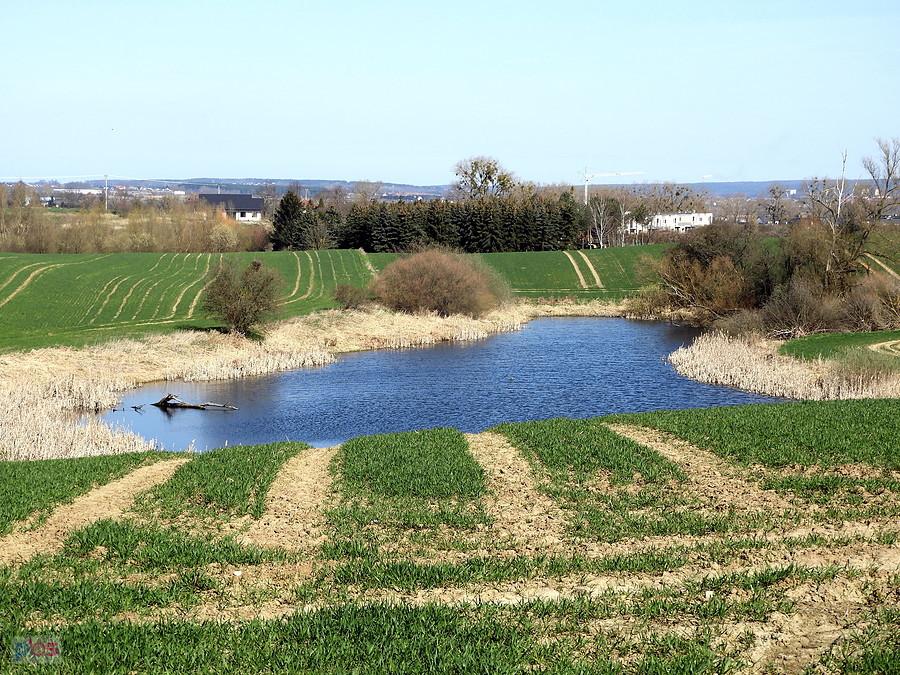 Widok ze ścieżki rowerowej Przecław - Karwowo.