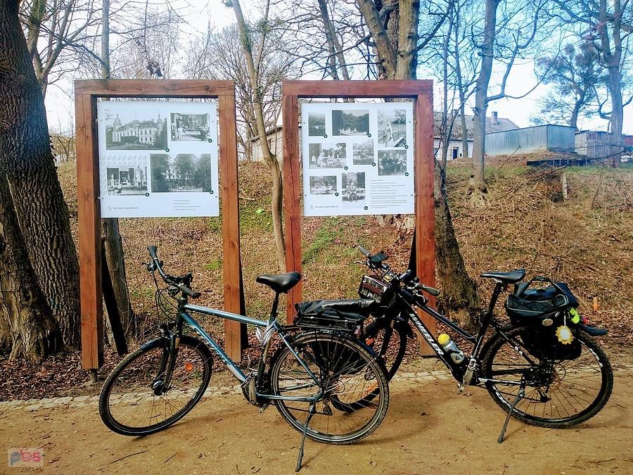 Park w Wojanowie