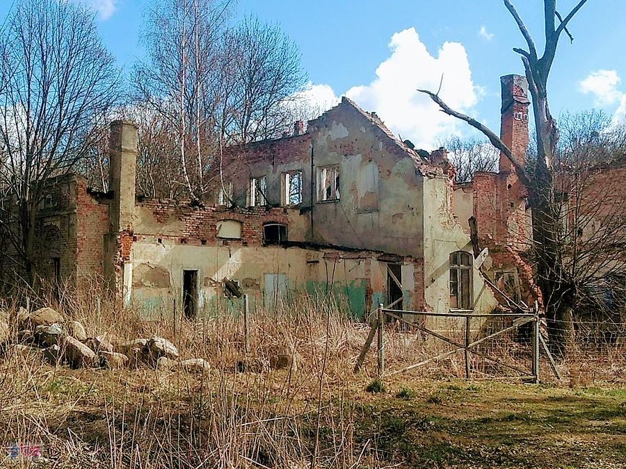 Pozostałości pałacu w Świnczu