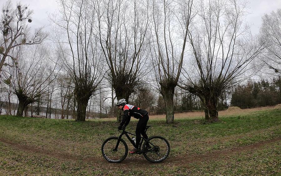 MTB-owanie wśród wierzb
