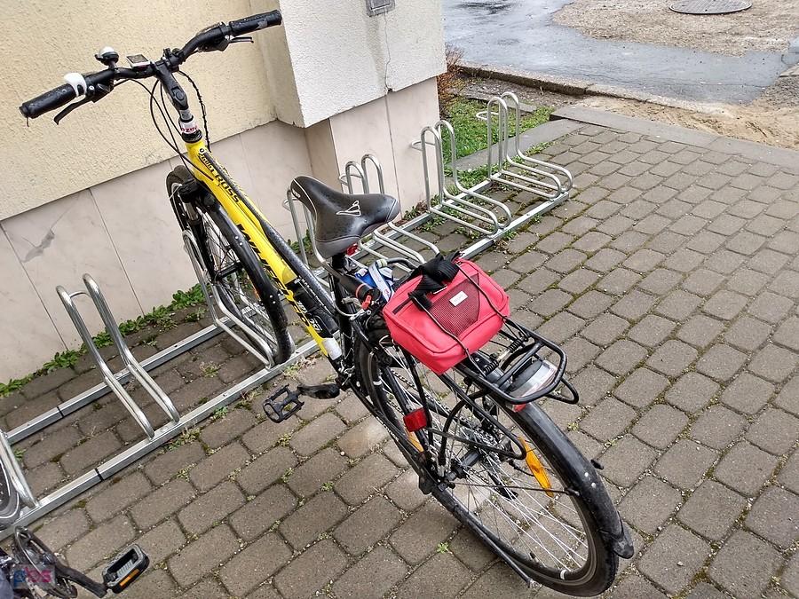 Pszczółka na parkingu
