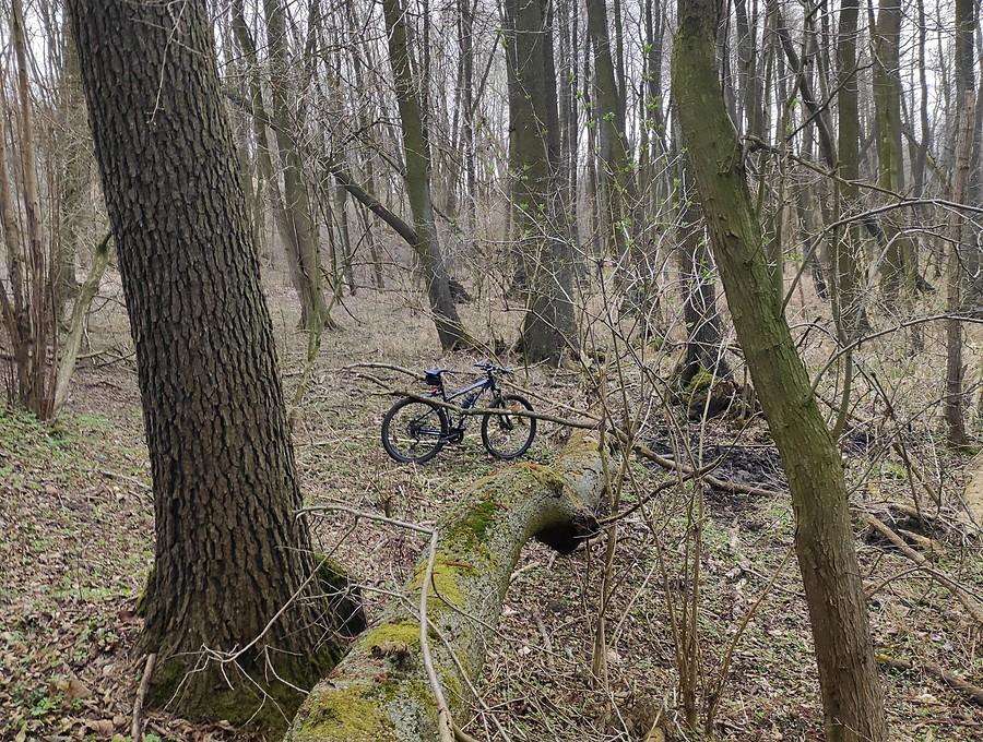 W poszukiwaniu zaginionego roweru, Trzcielińskie Bagno