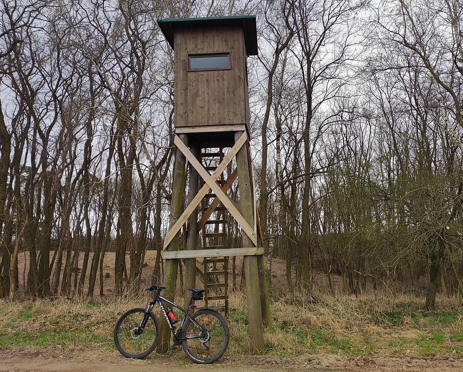 Jedna z wielu ambon, ta na szczęście zamknięta, Trzcielińskie Bagno