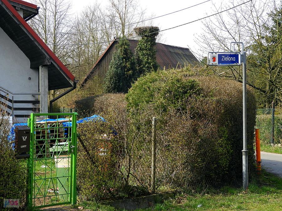 Dębostrów i ciągle puste gniazdo bocianie.