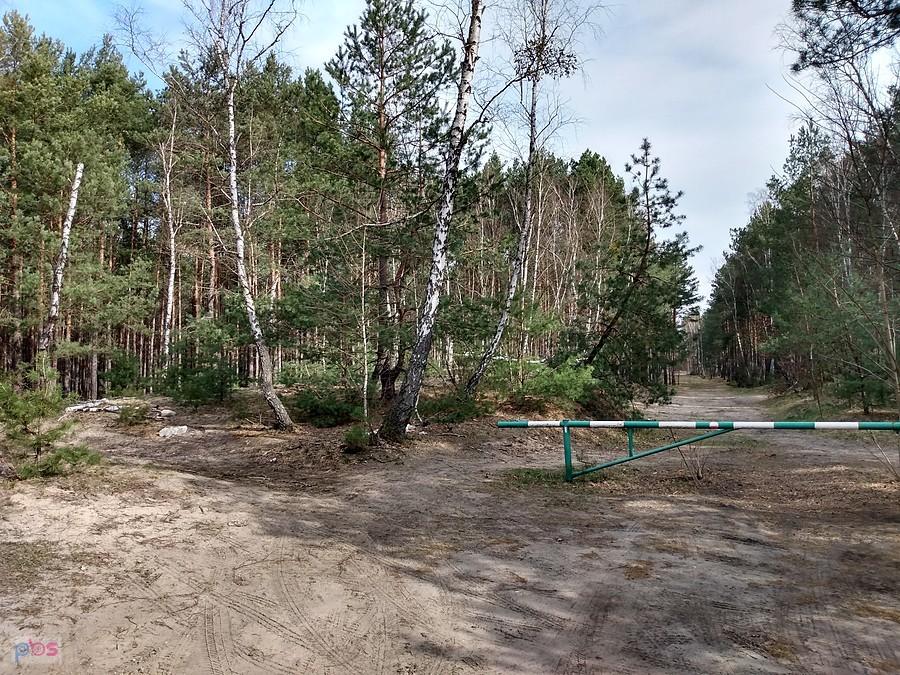 Puszcza Kampinoska