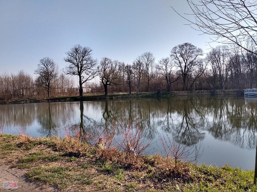 Staw w Ołtarzewie
