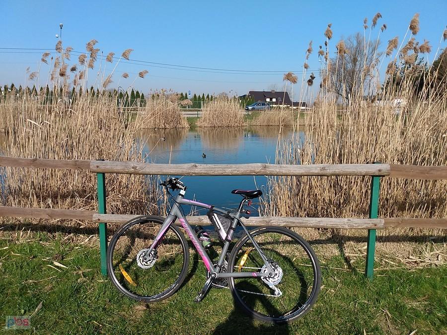 Meridka nad stawem w Borzęcinie