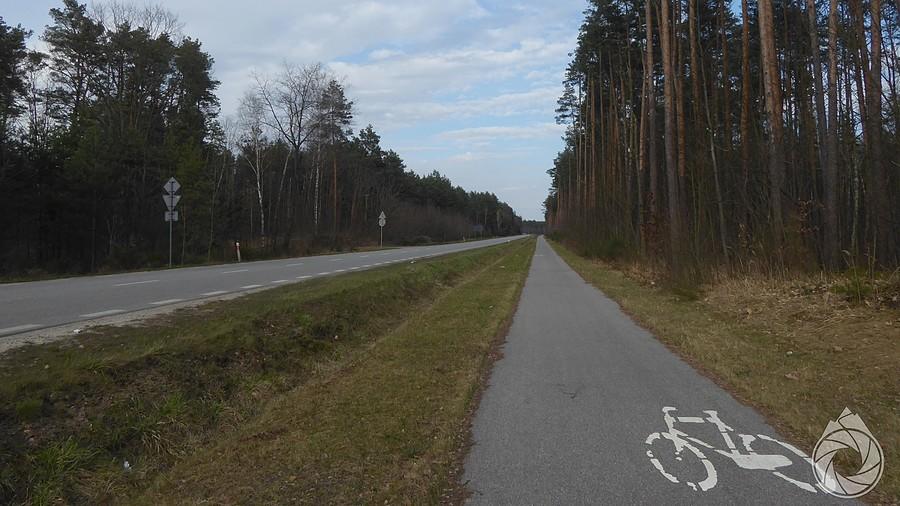 leśna jazda ścieżkami na północ wzdłż DW728