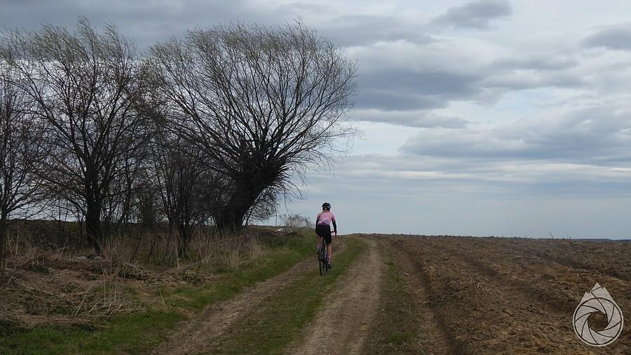 bezdroża pod dolinkami krakowskimi