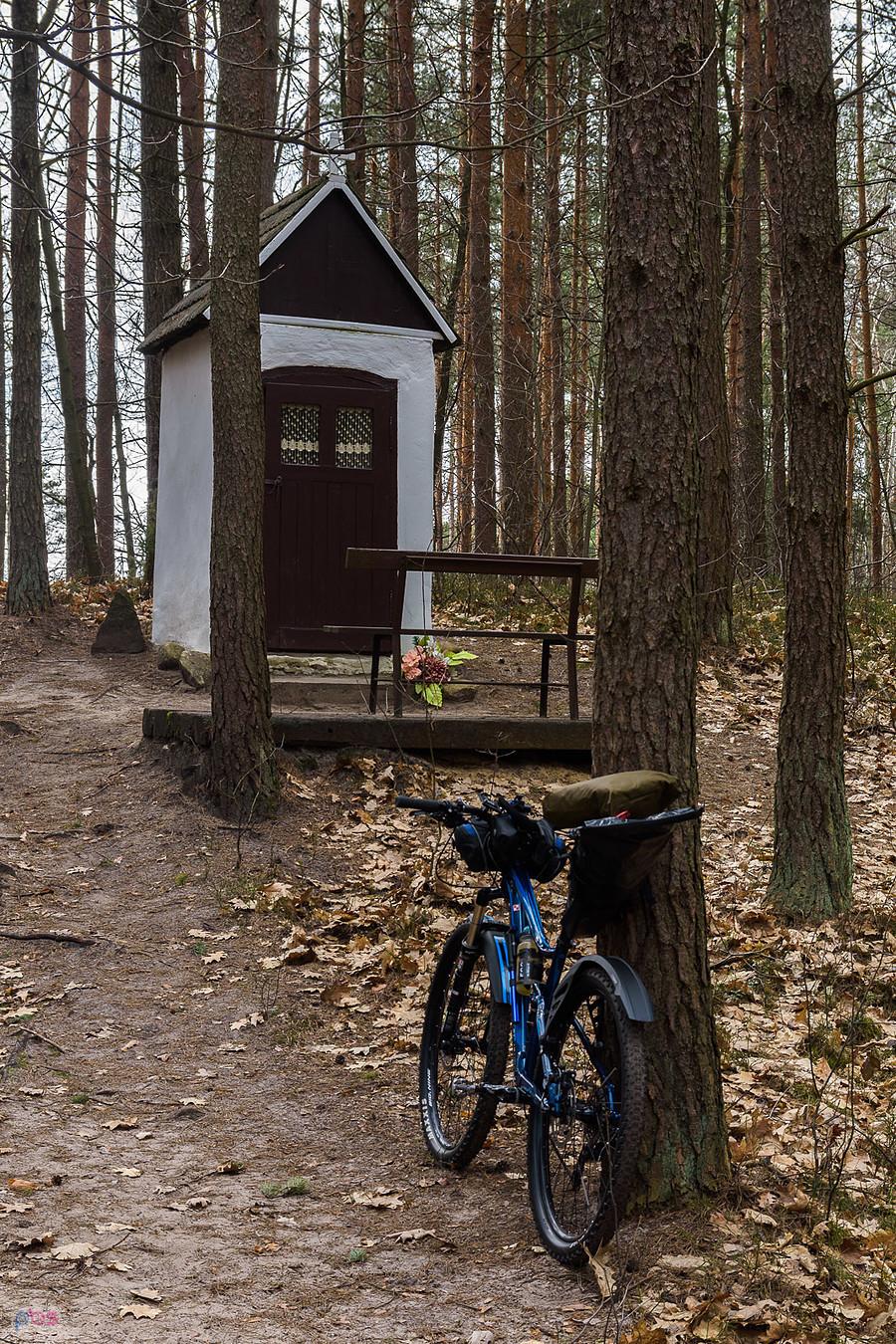 Kapliczka przy leśnej drodze niedaleko Wysokiej Lelowskiej