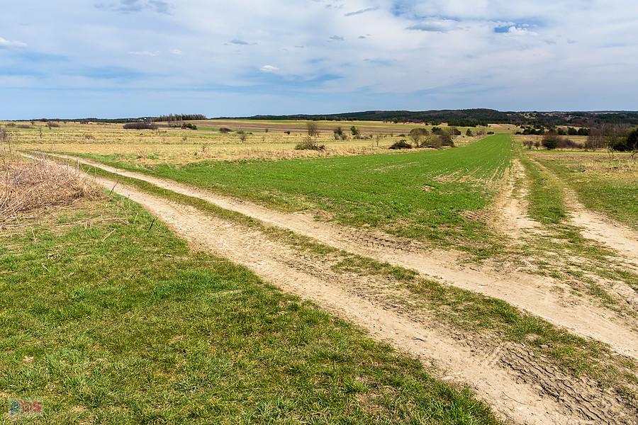 Jaroszów, po lewej stronie droga w kierunku jego zabudowań