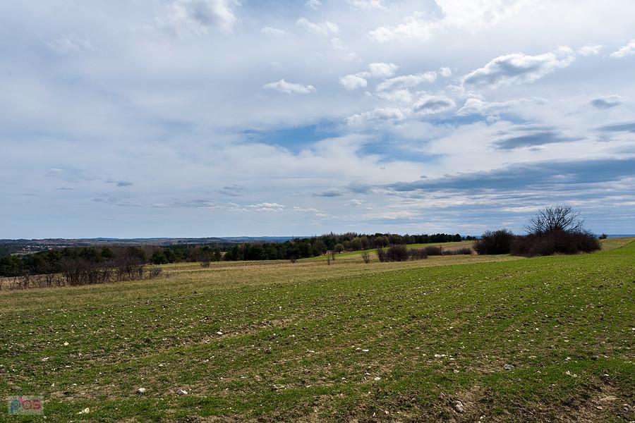 Jaroszów - widok w kierunku Żarek