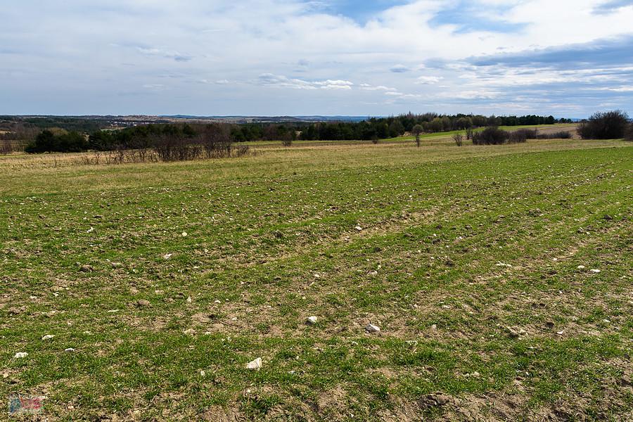 roszów - widok w kierunku Żarek