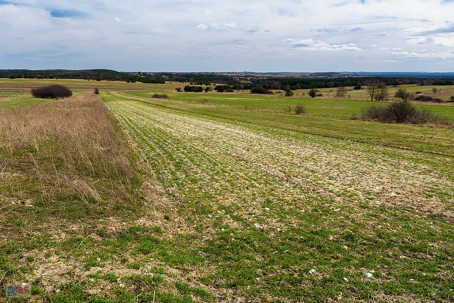 Jaroszów