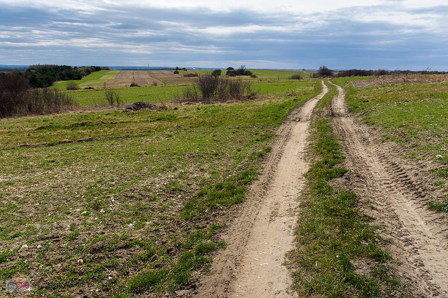 Jaroszów - droga od strony Wysokiej Lelowskiej, czyli widok zza moich pleców