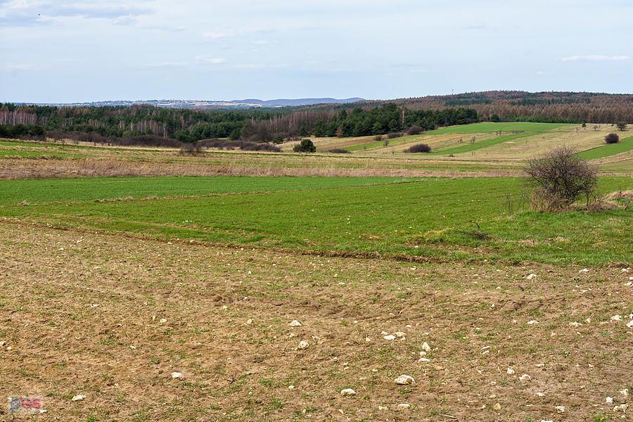 Jaroszów - widok w kierunku Biskupic