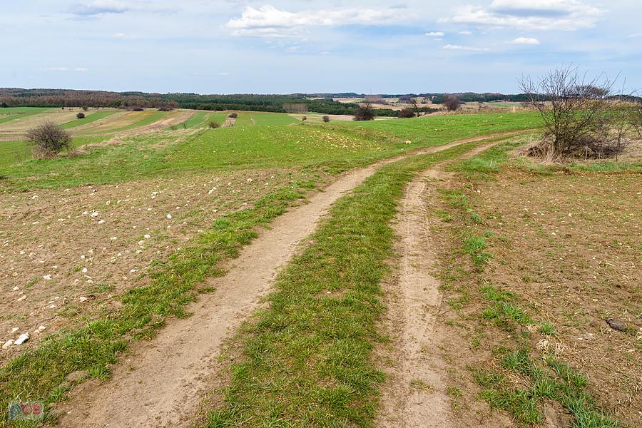 Jaroszów - droga z Wysokiej Lelowskiej