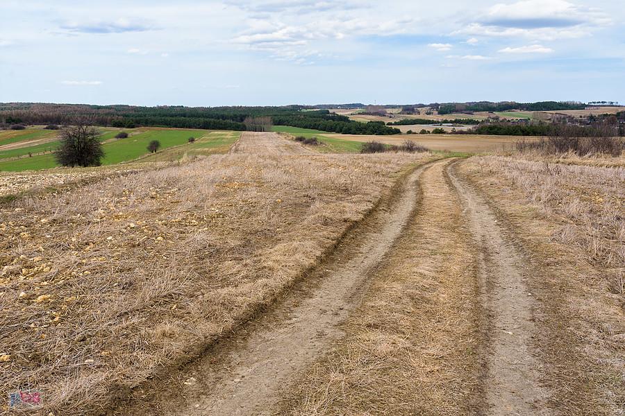Jaroszów - droga z Wysokiej Lelowskiej