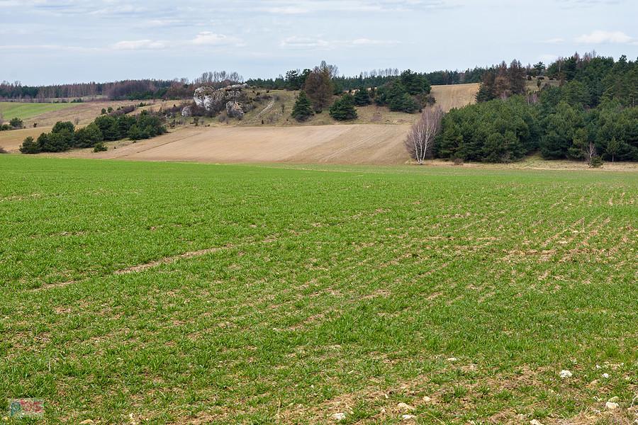 Jaroszów