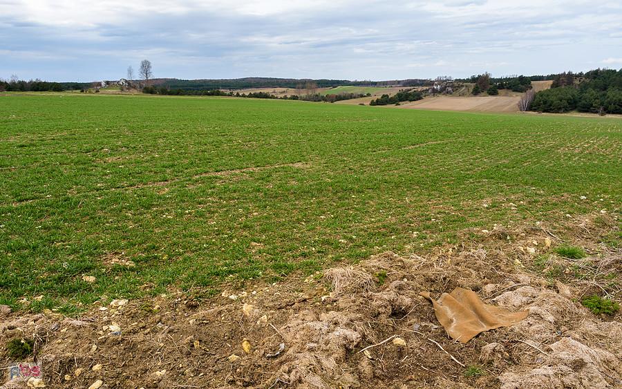 Jaroszów