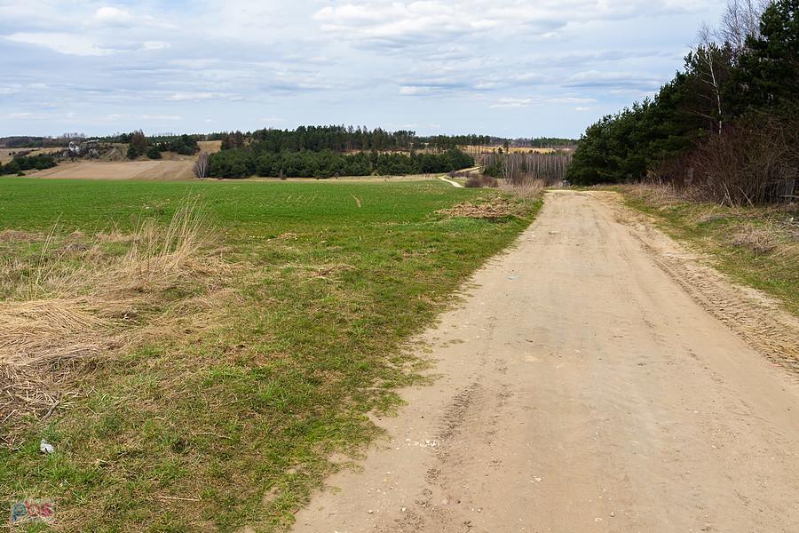 Jaroszów - droga w kierunku Suliszowic