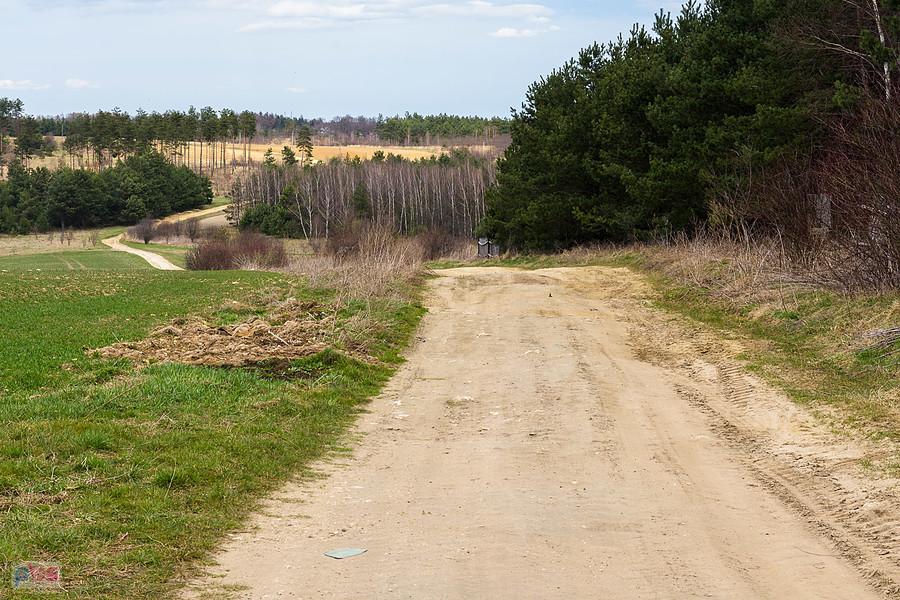 Jaroszów - droga w kierunku Suliszowic