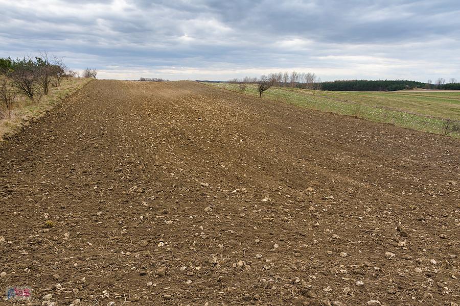 Suliszowice - widok na zachód