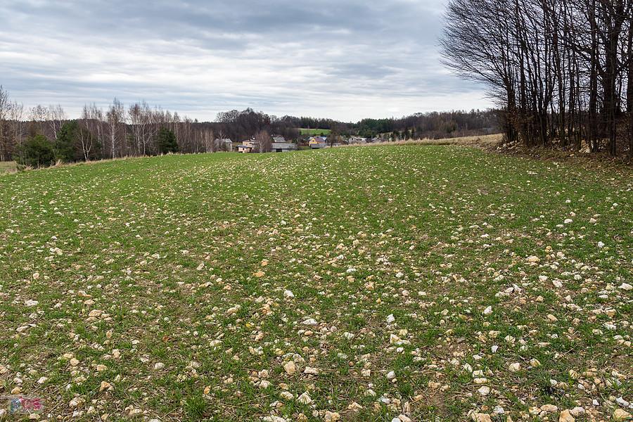 Suliszowice