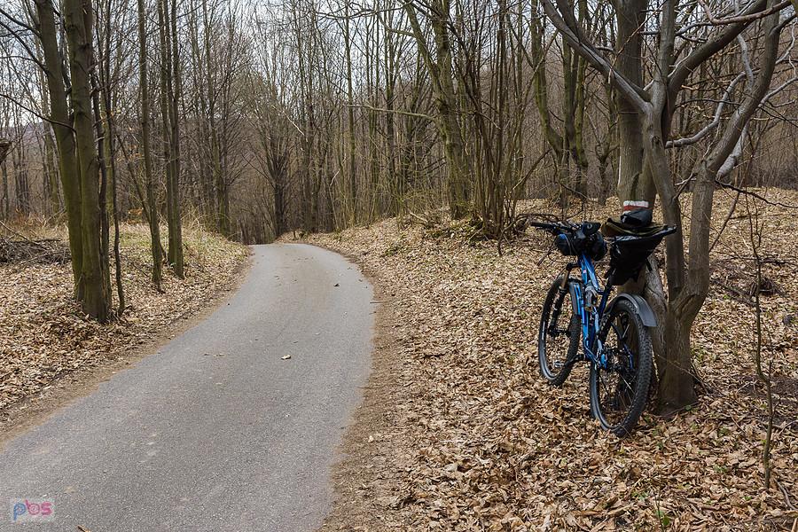 "Siedlecka Droga" - Trzebniów, czyli szlak pieszo-rowerowy z Ostrężnika